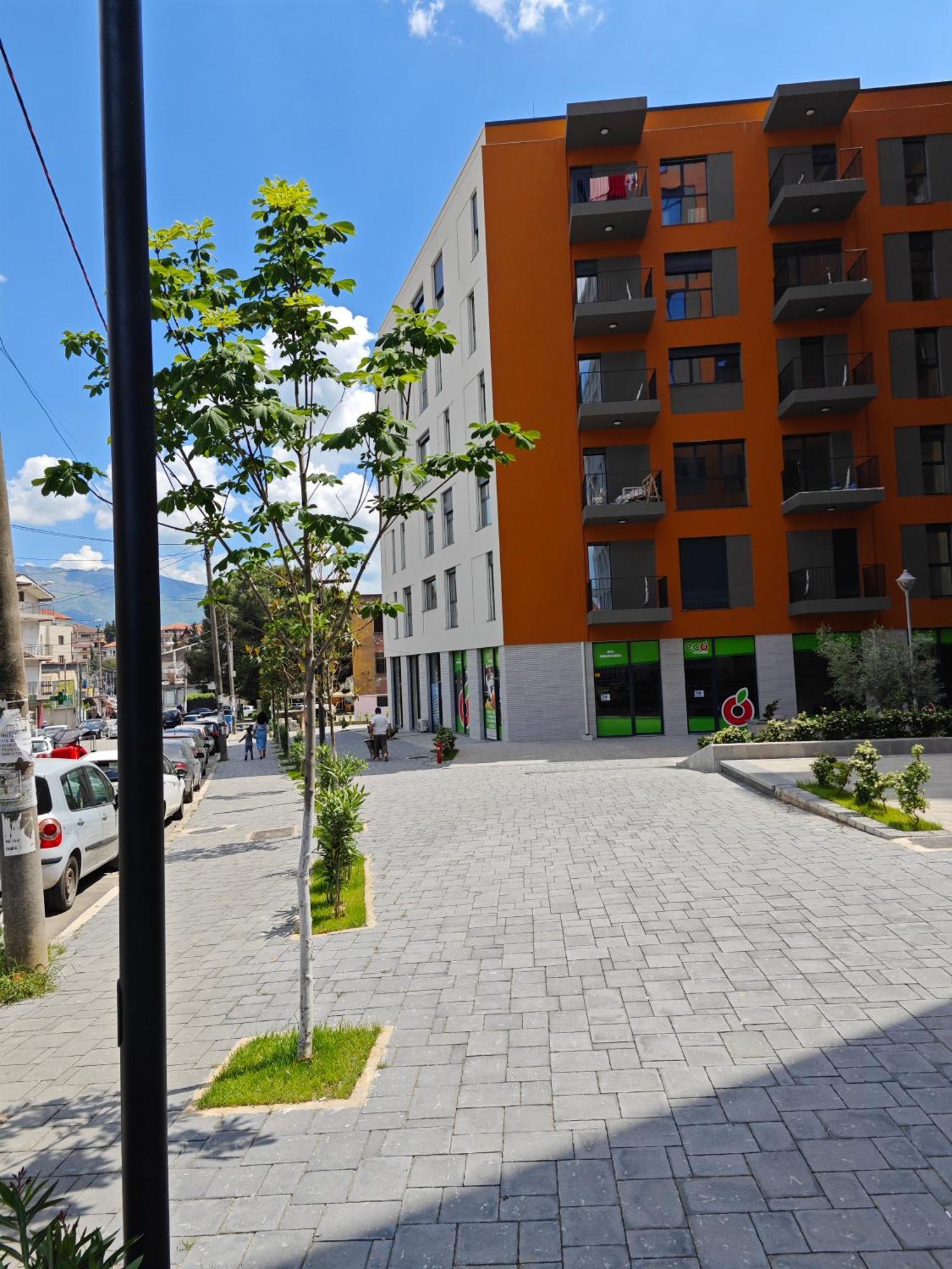 Apartment Vasil Gjika 3 *